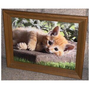 Cute Kitten Cat Picture in Frame (11" x 14")
